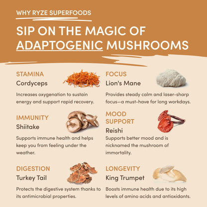 RYZE Mushroom Overnight Oats Breakfast Pack (14 Servings)