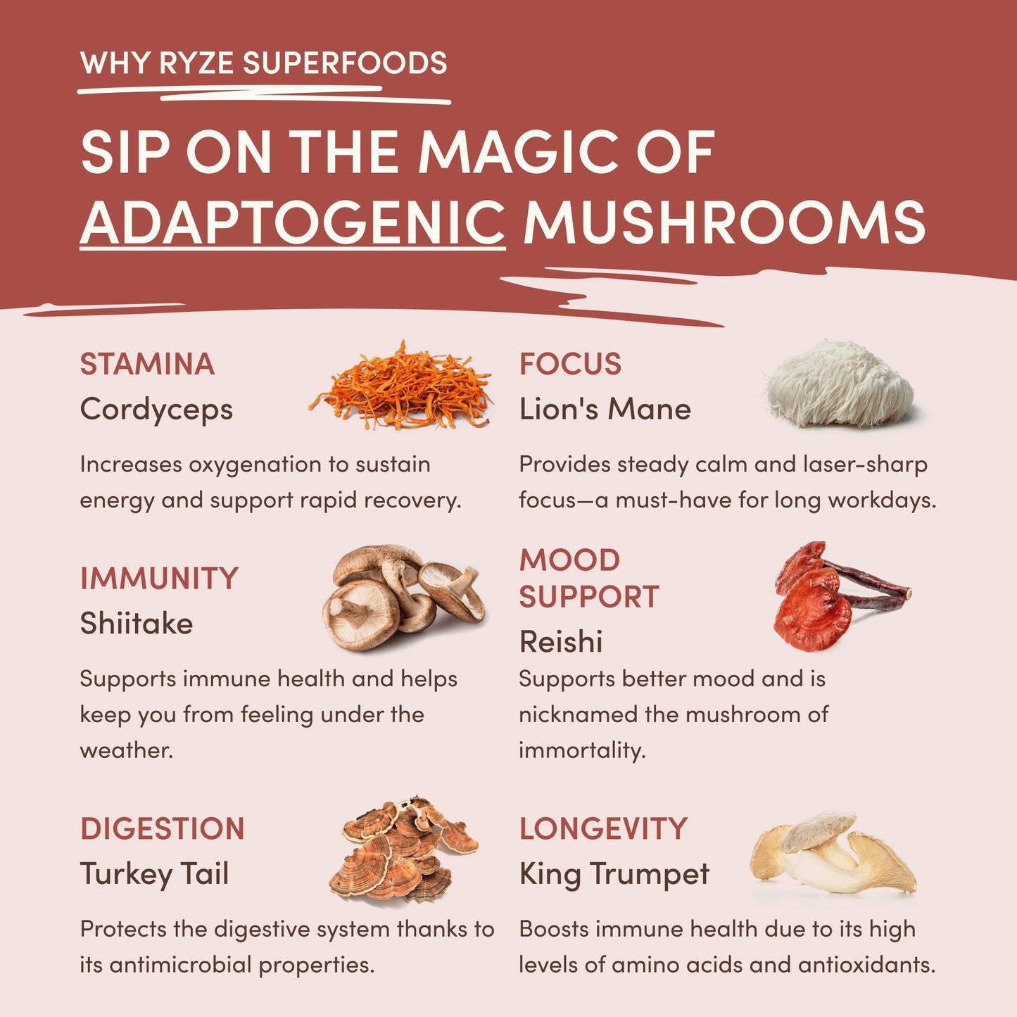 RYZE Smooth Mushroom Chicory (30 Servings)