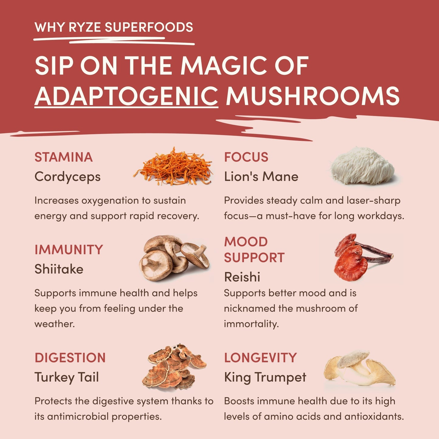 RYZE Smooth Mushroom Chai (20 Servings)