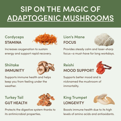 RYZE Coffee Matcha Ritual Pack